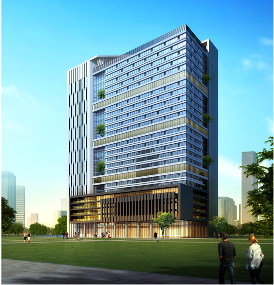 洛陽中心醫(yī)院項目